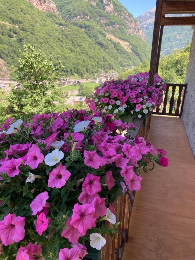 Lillianes B&B Maison Vallomy المظهر الخارجي الصورة