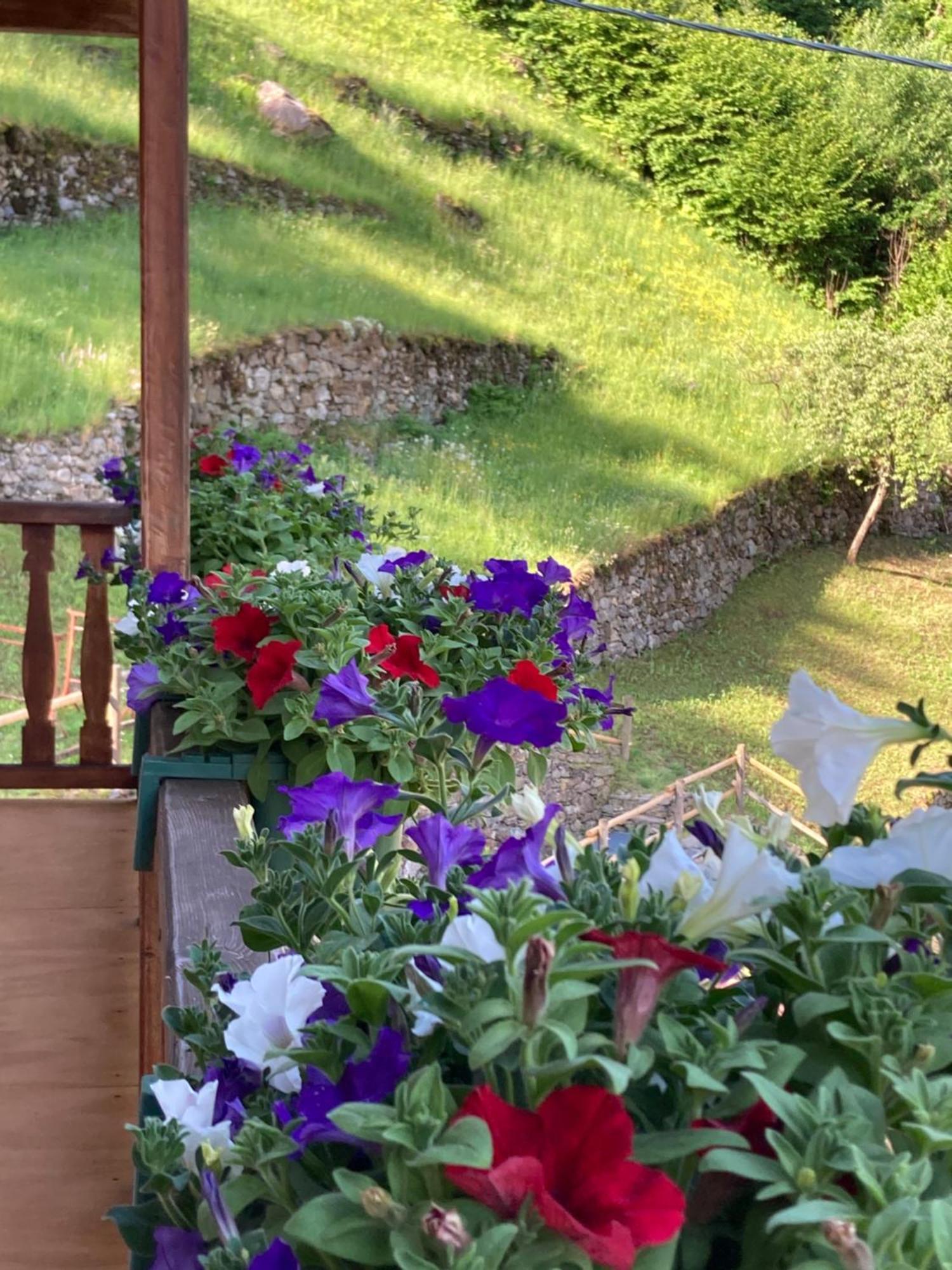 Lillianes B&B Maison Vallomy المظهر الخارجي الصورة